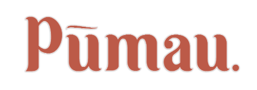 Pūmau Business Virtual Assistant Business Optimisation